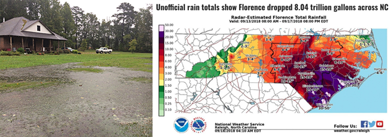 2018 was one of the wettest years on record in NC. Two hurricanes came uninvited, maybe they’ll skip us for the next several years.